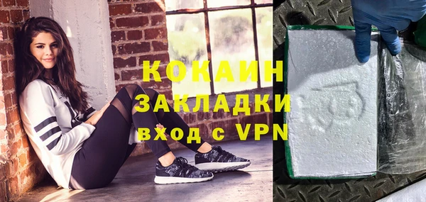 ГАЛЛЮЦИНОГЕННЫЕ ГРИБЫ Арсеньев