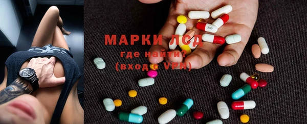 apvp Аркадак