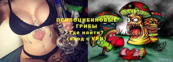 apvp Аркадак