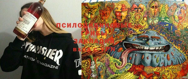 apvp Аркадак