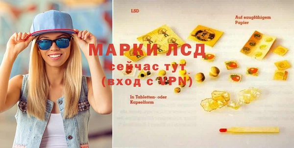apvp Аркадак