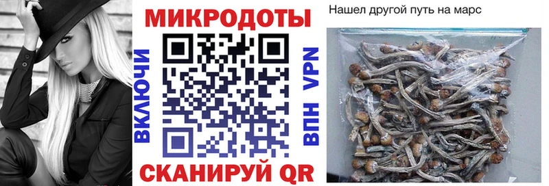 Псилоцибиновые грибы Cubensis  купить  цена  Пугачёв 